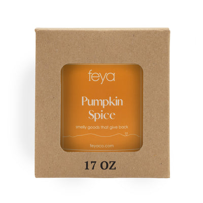 Feya Pumpkin Spice 17 oz Candle In Box